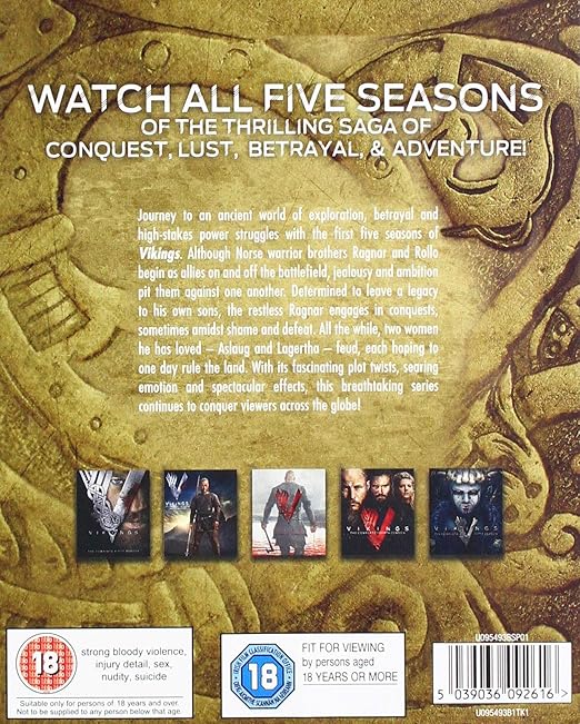 VIKINGS: SEASONS 1-5 - Blu-ray