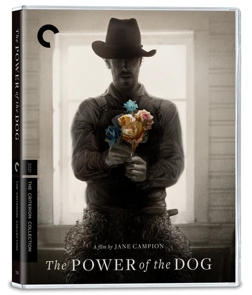 THE POWER OF THE DOG 4K UHD