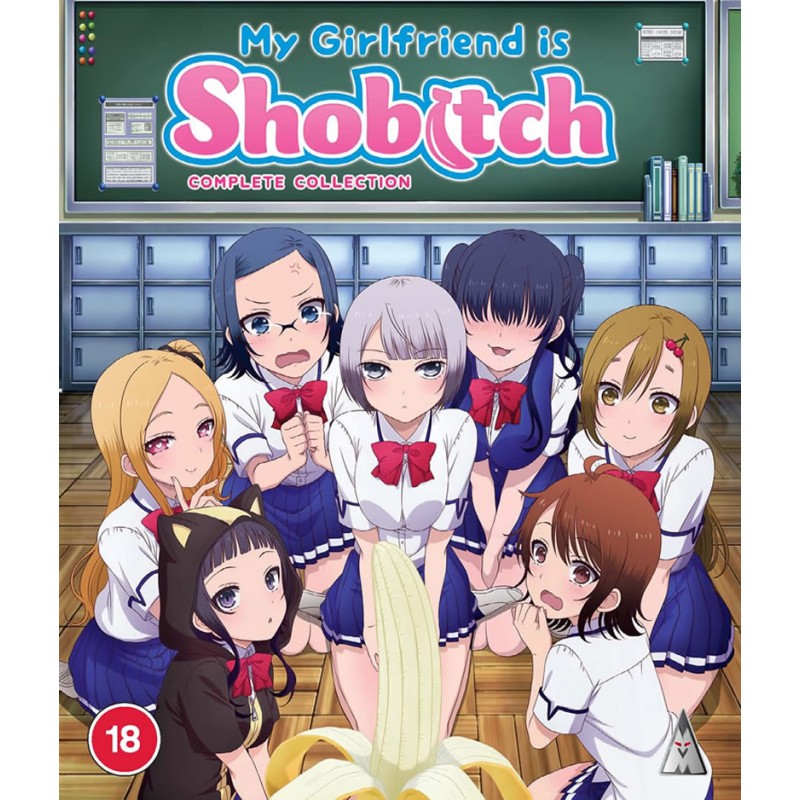 MY GIRLFRIEND IS SHOBITCH COL BD