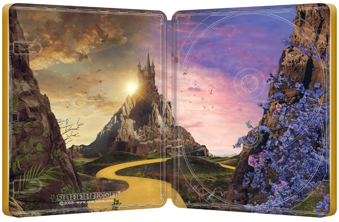 Wicked: For Good Steelbook 2 - PRE-ORDER Q1 TBC