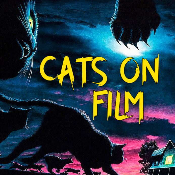 Cats on Film