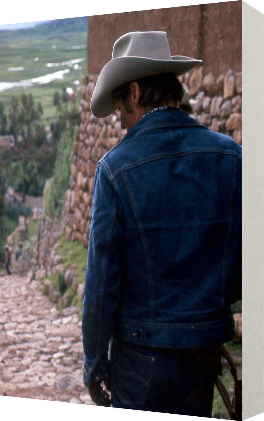 THE LAST MOVIE - LE