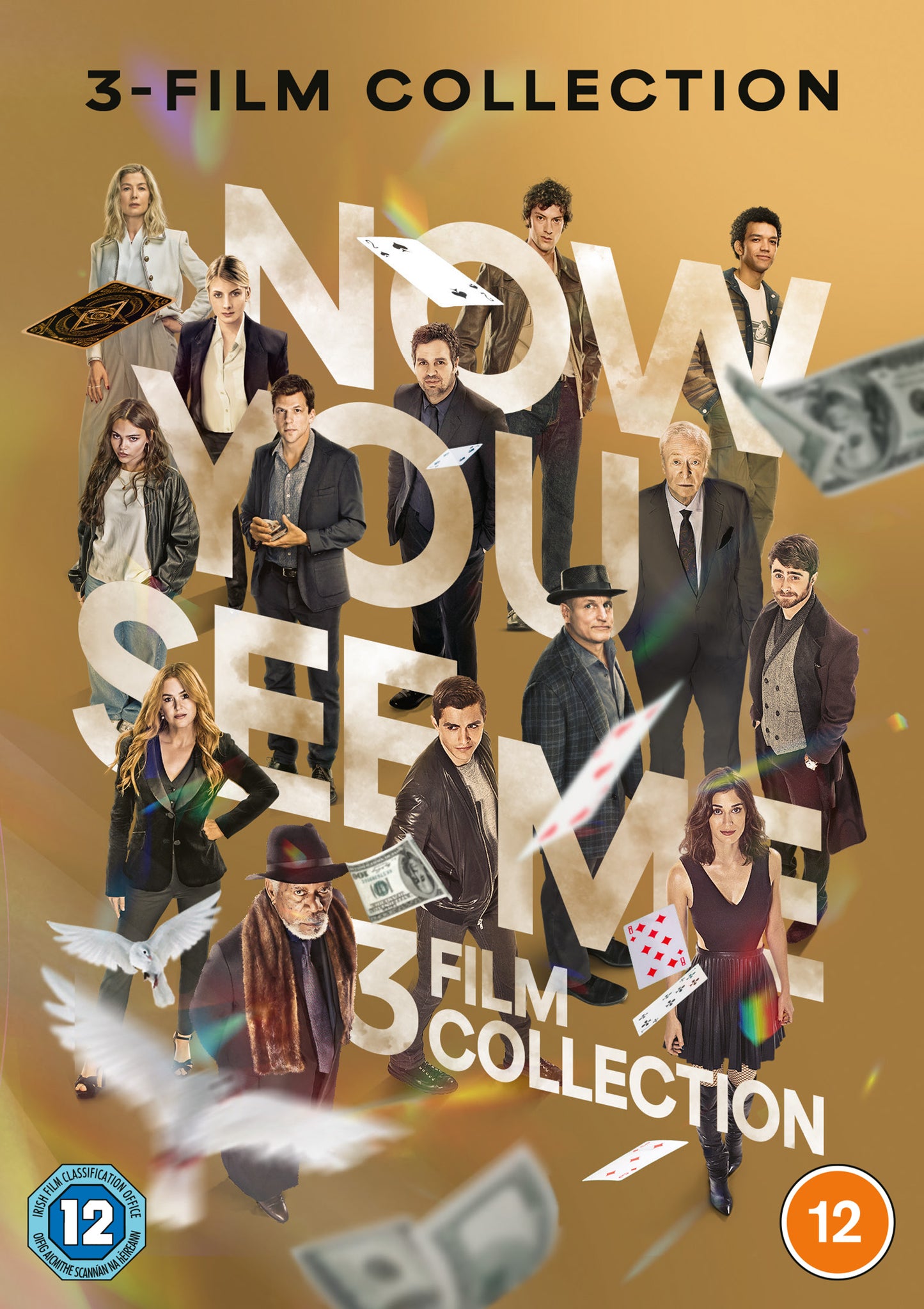 Now You See Me Triple Boxset (DVD)