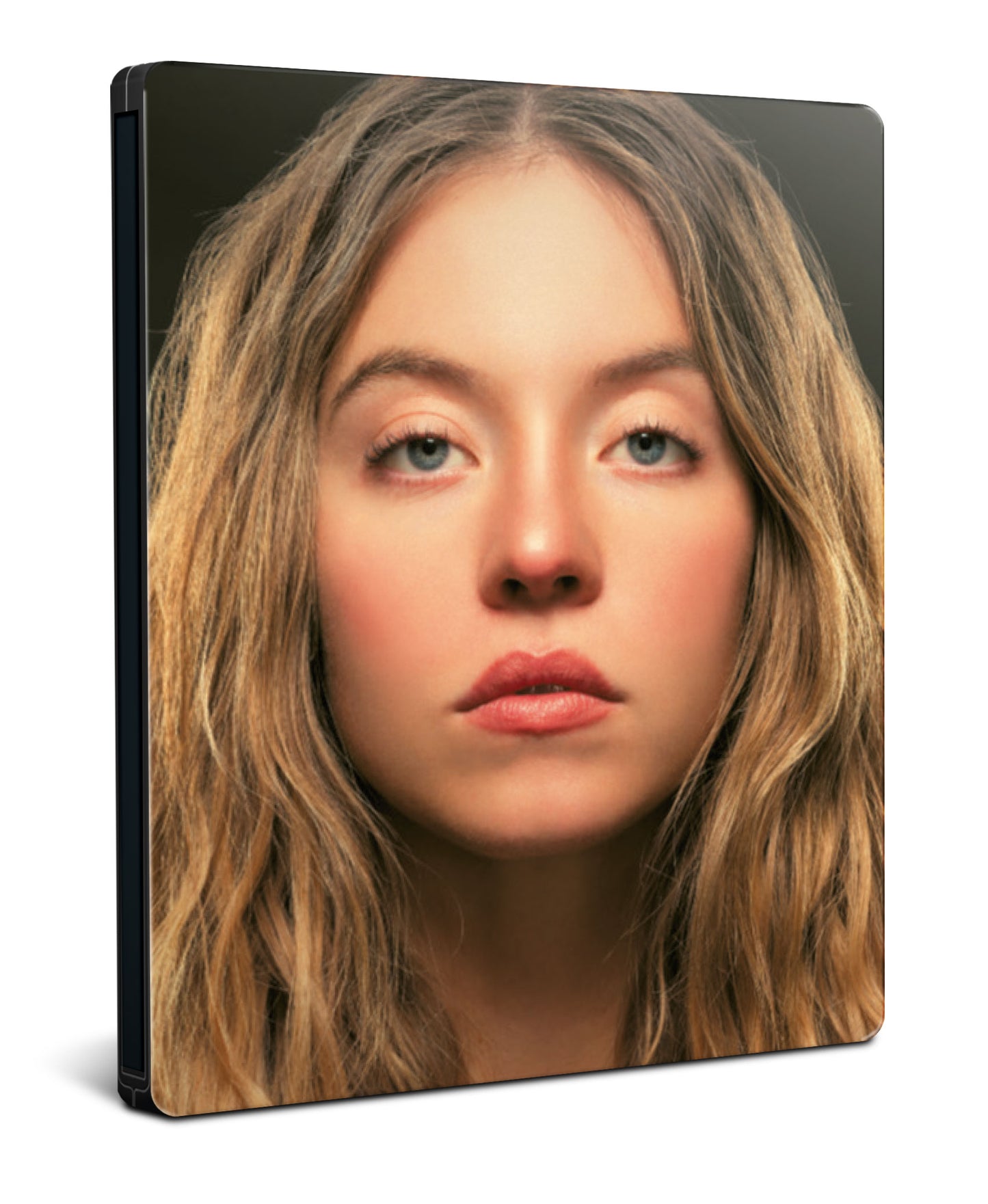 The Housemaid SteelBook