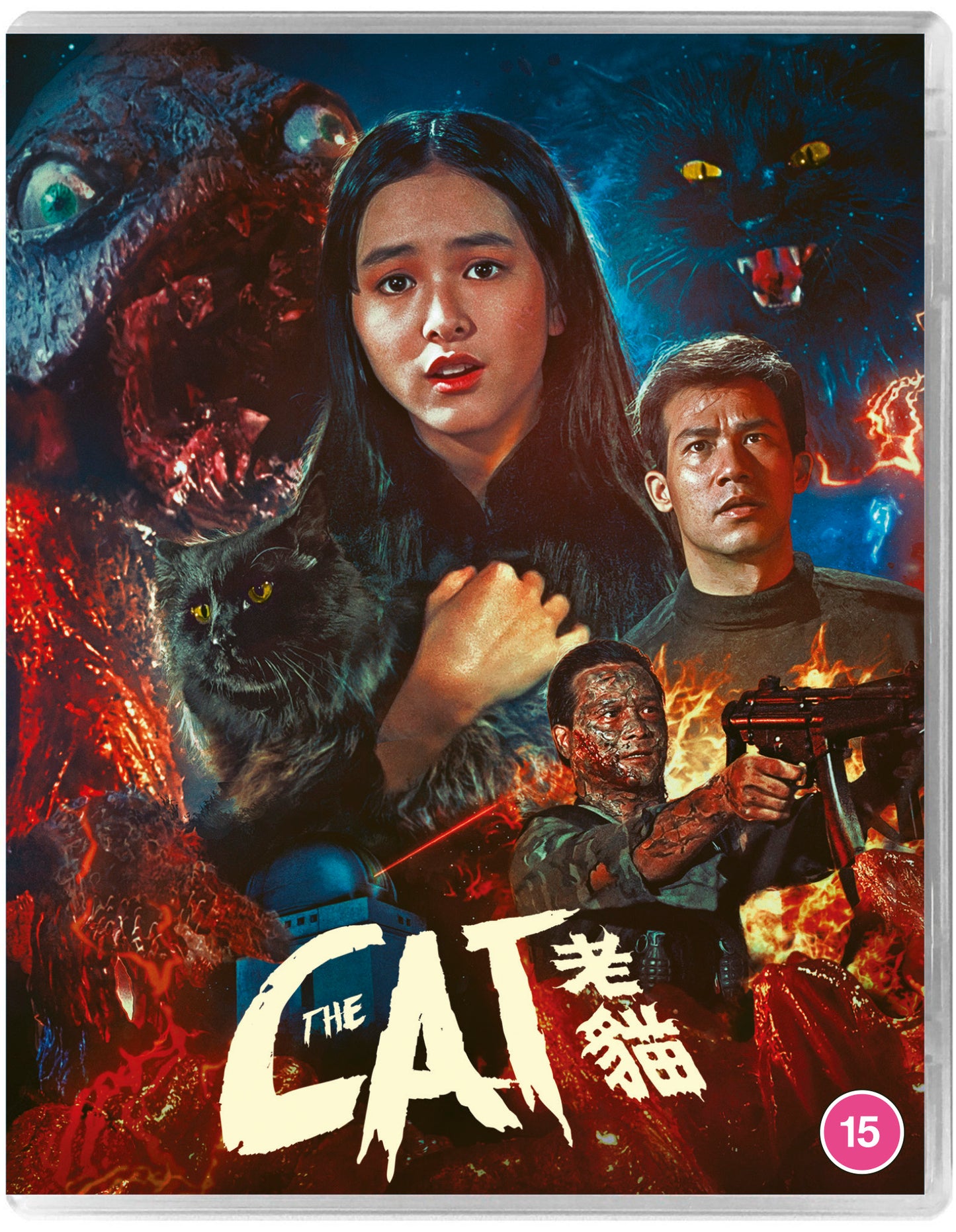 The Cat Standard BD