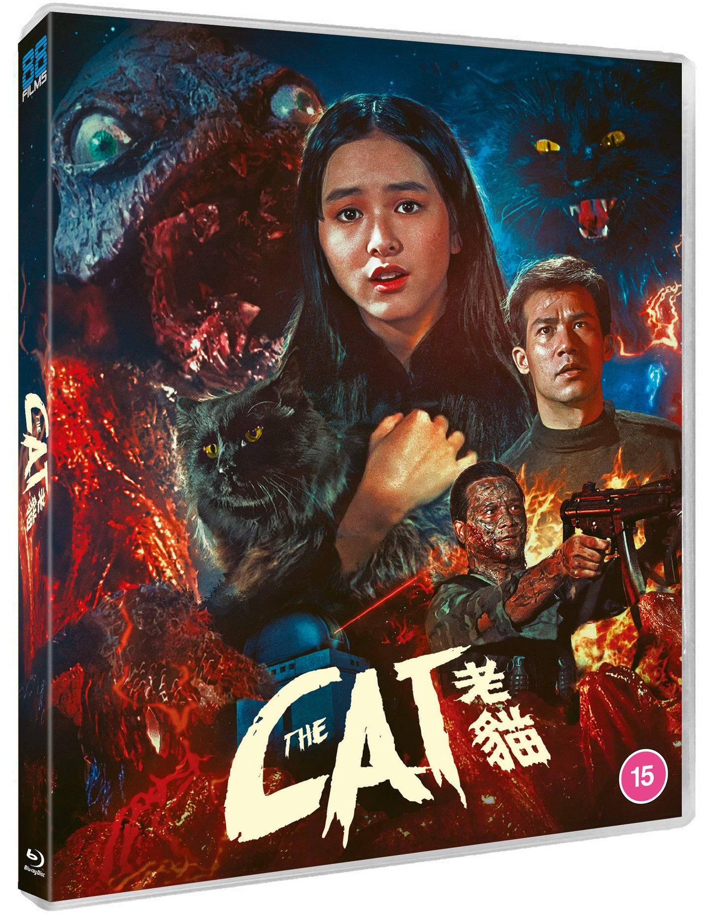 The Cat Standard BD