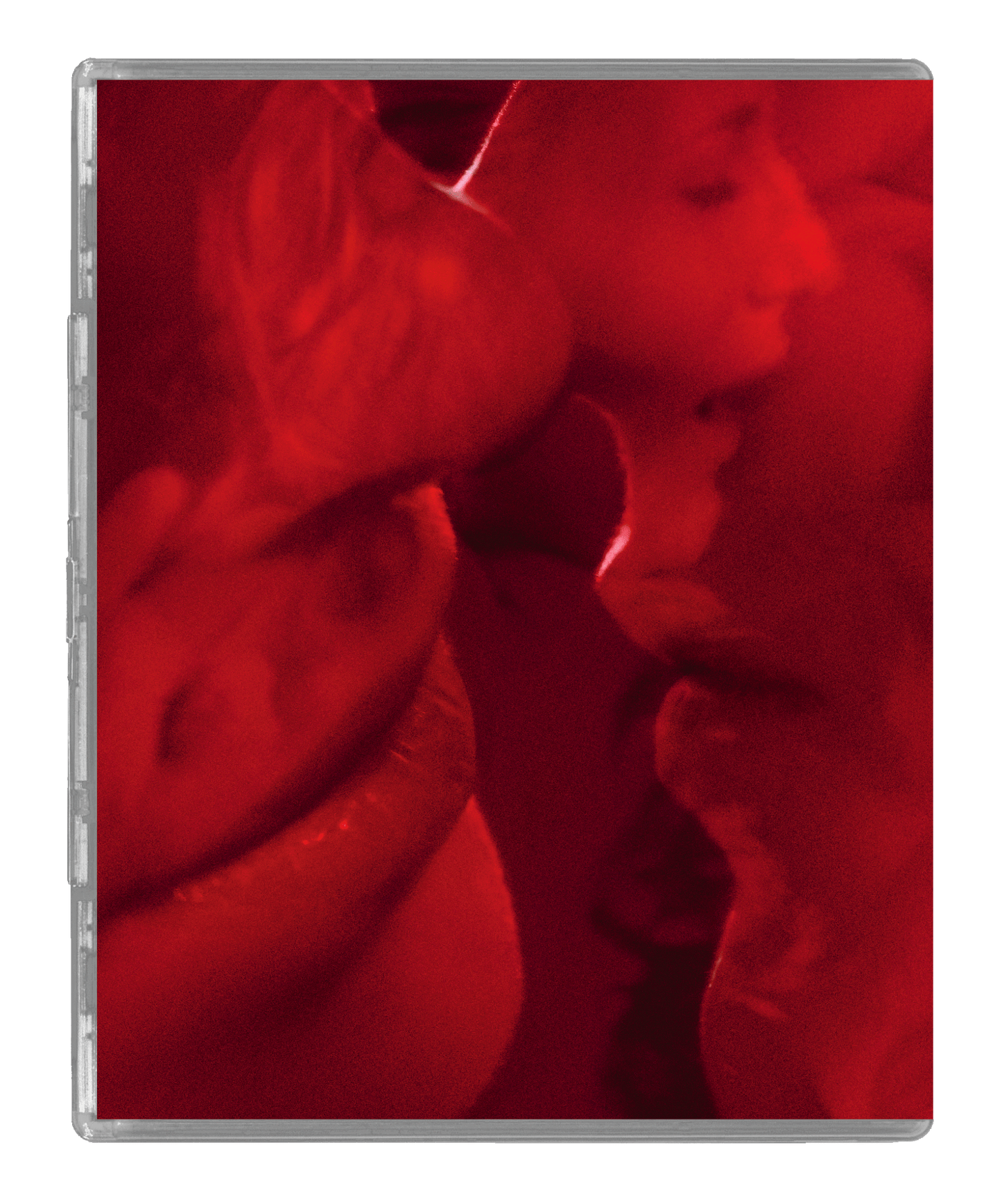 Daughters of Darkness (UHD+BD LE) - PRE-ORDER - 13 October 2025