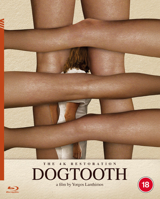 DOGTOOTH BD