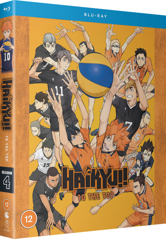 HAIKYU!! TO THE TOP (SEASON 4)