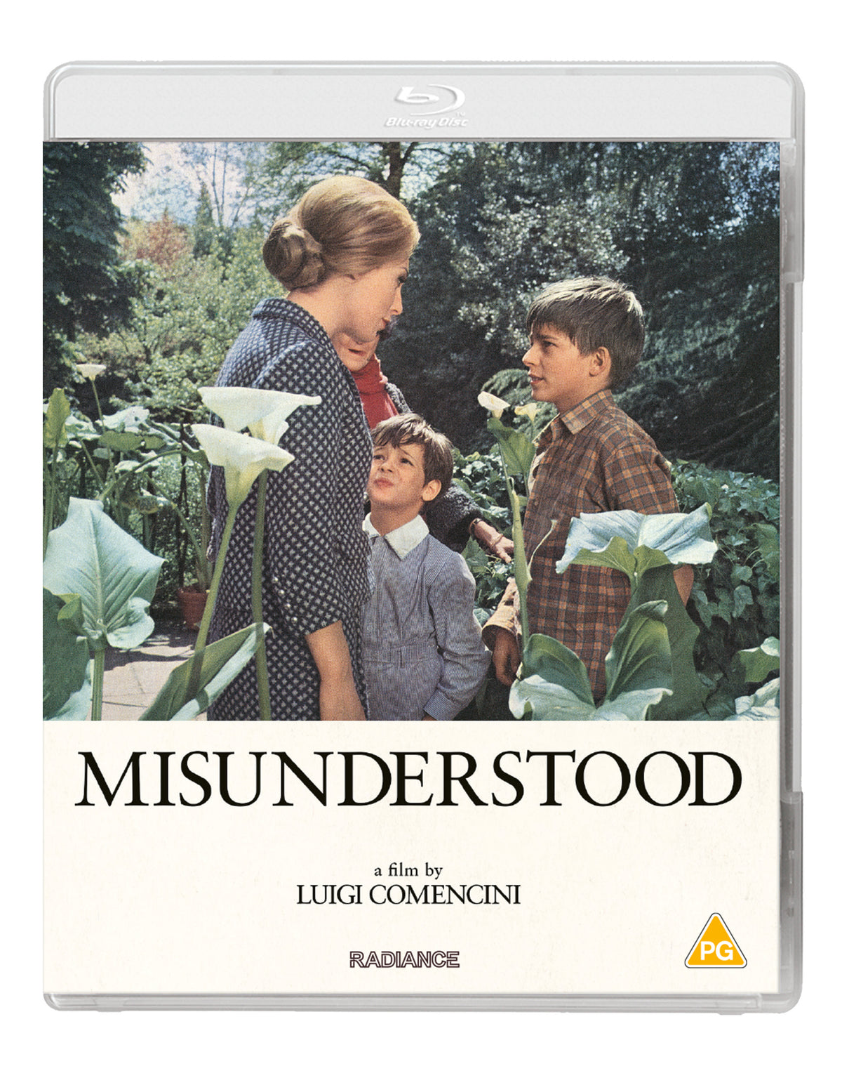 Misunderstood - pre-order-16-November-2026