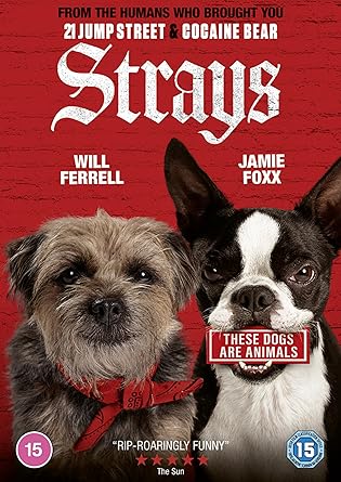 STRAYS DVD
