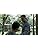 Tree of Life Blu-Ray - PRE-ORDER - 13-OCTOBER-2025