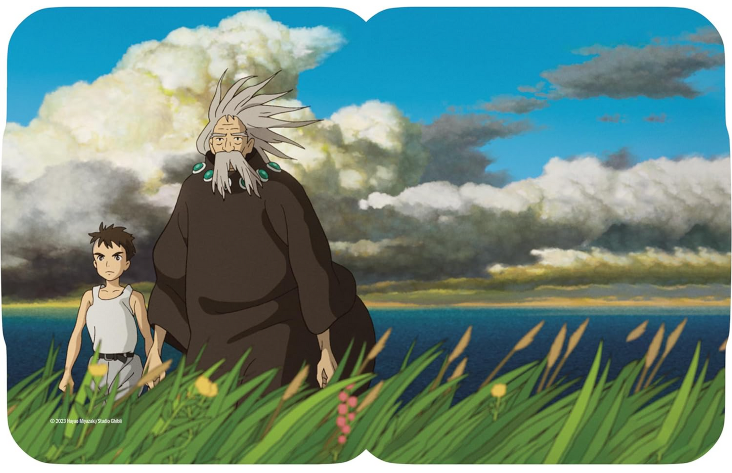 THE BOY AND THE HERON STEELBOOK