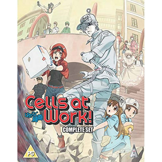 CELLS AT WORK COLLECTION BD