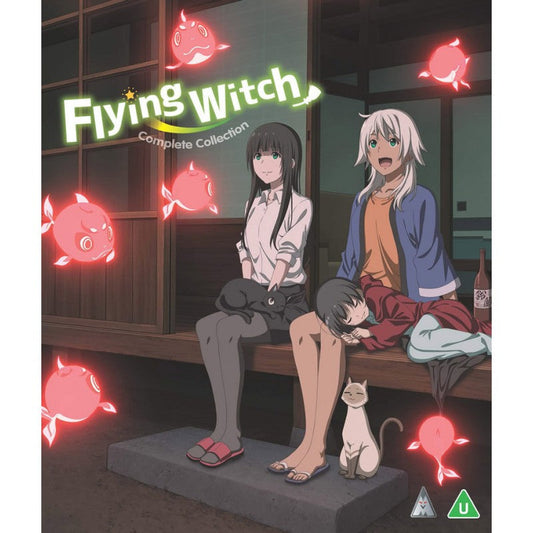 FLYING WITCH STANDARD EDITION BD