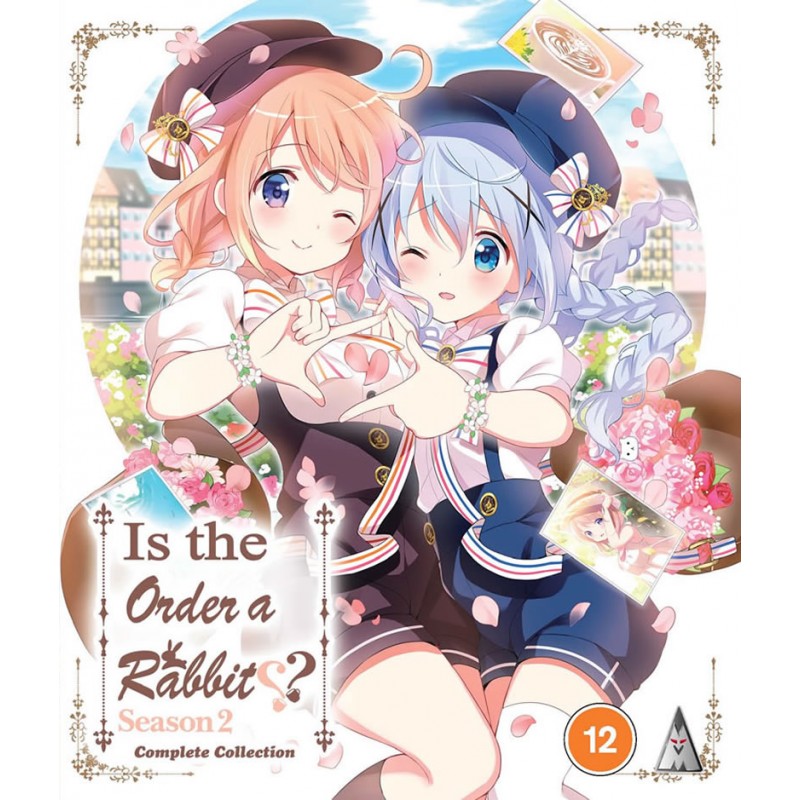 IS THE ORDER A RABBIT S2 COLL BD