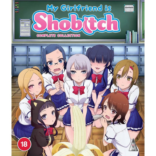 MY GIRLFRIEND IS SHOBITCH COL BD