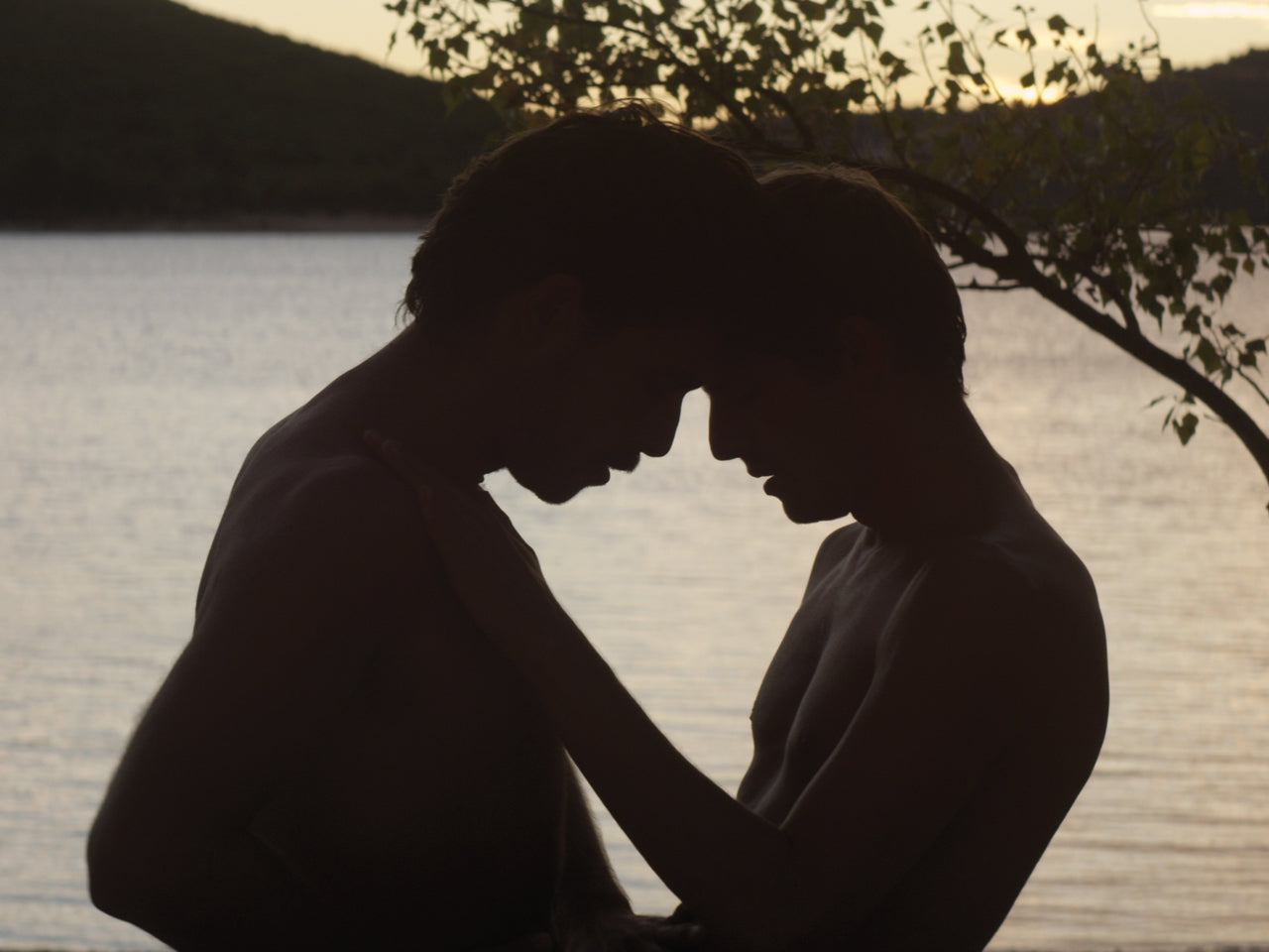 Stranger By The Lake DVD