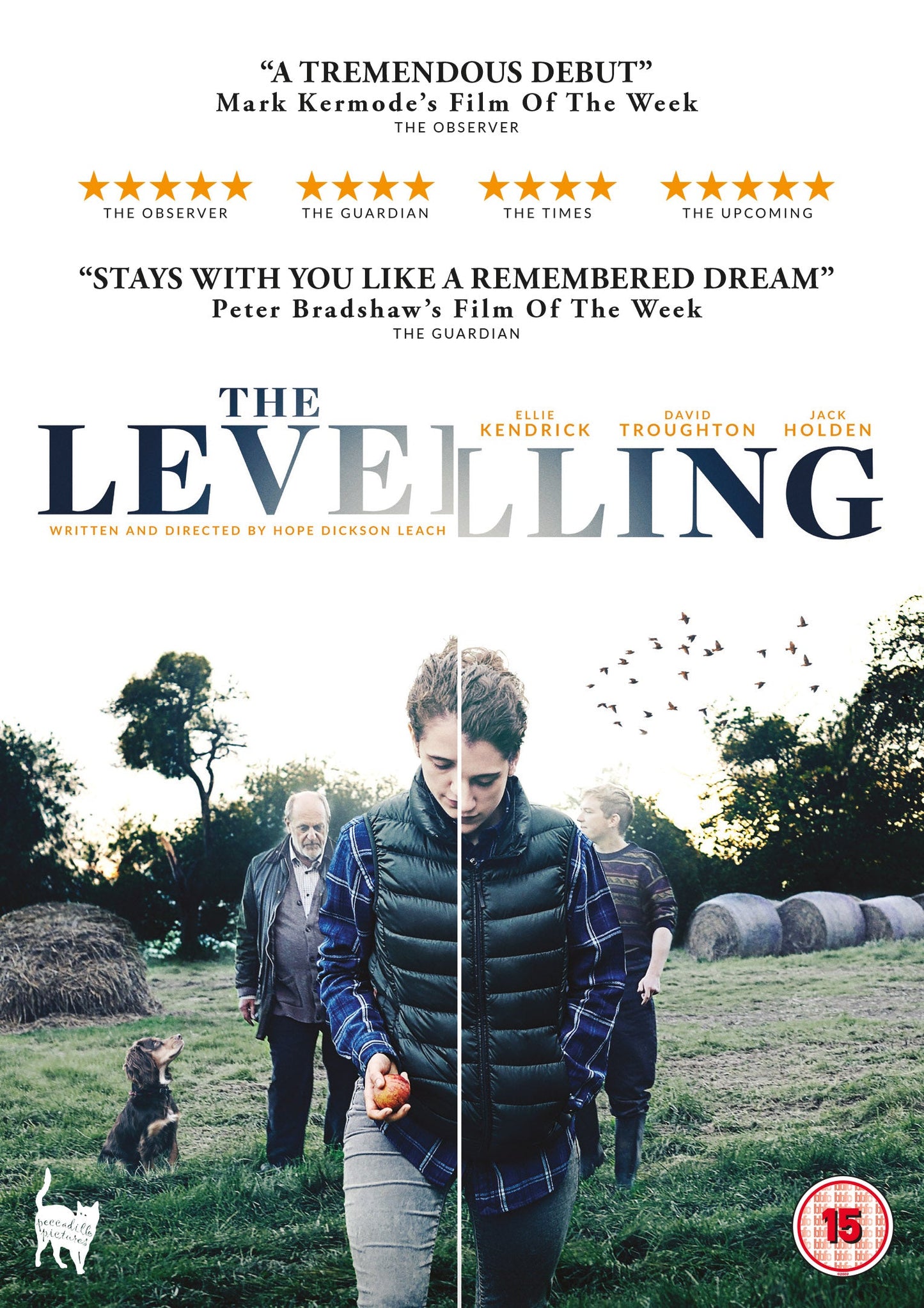 THE LEVELLING DVD