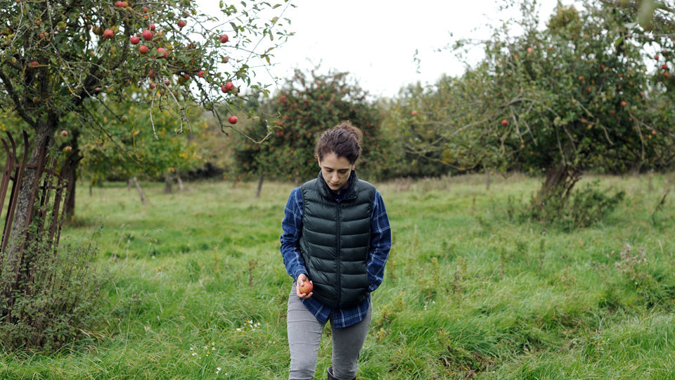 THE LEVELLING BLU-RAY